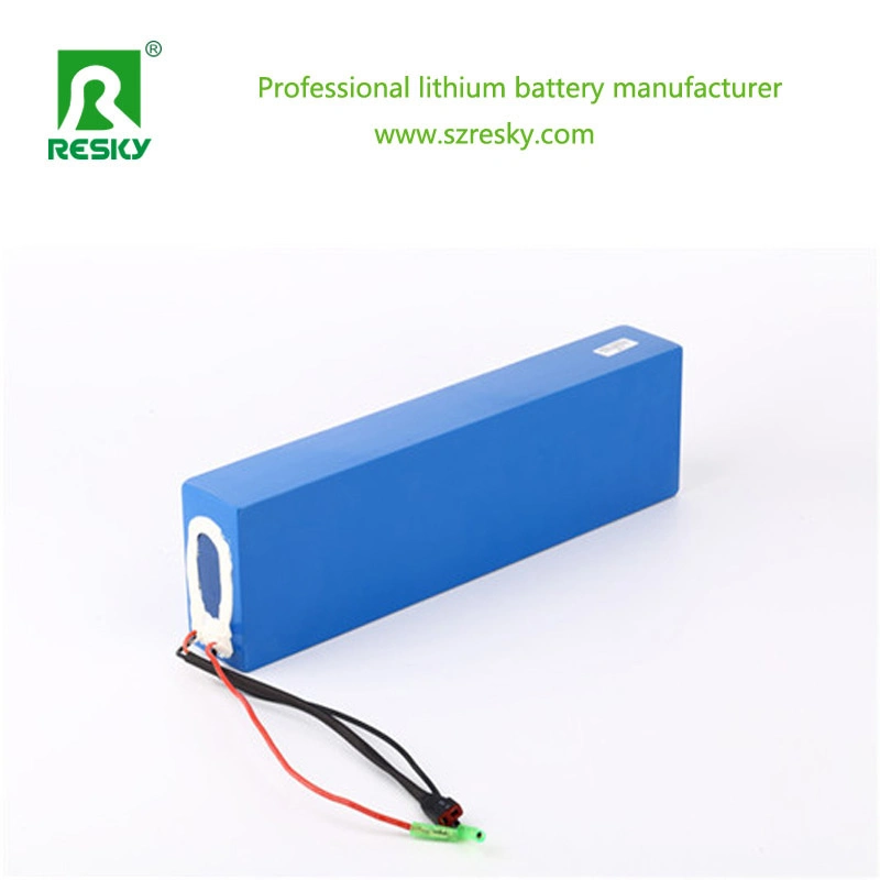 48V 20ah Lithium Battery for 1000W Electric Bicycle Scooter