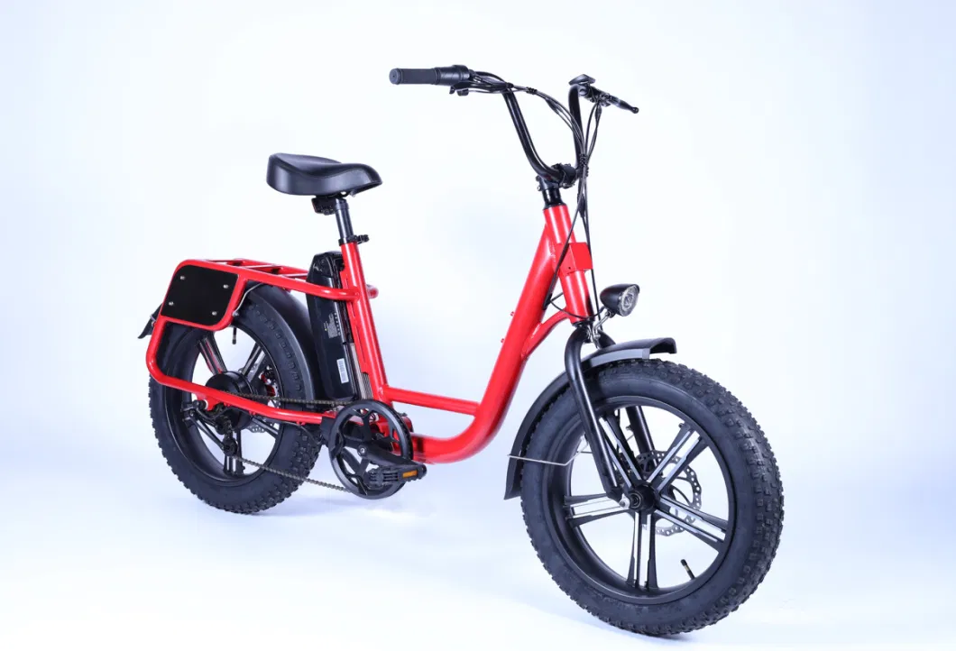 New 20inch Fat Tire Cargo City Electric Bike Bicycle 5% Discount