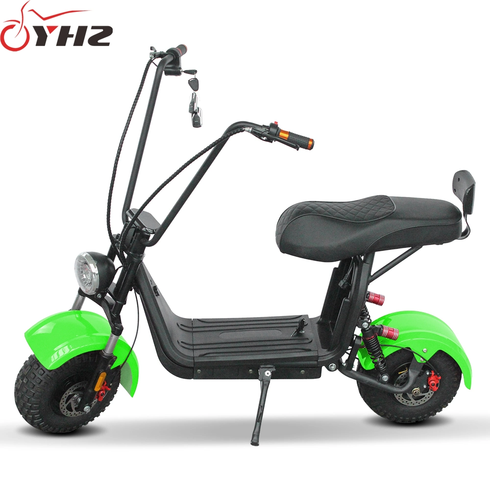 Smart 800W 48V Electric Bicycle Adult Scooter CE Approved with off-Road Tire