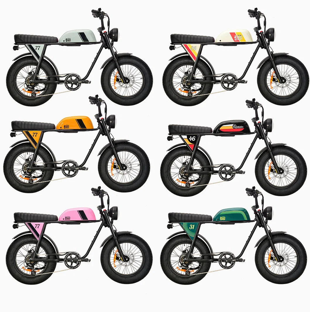 2023 Newest Product 750W off-Road Ebike with Dual Battery 48V 20ah Lithium Electric Bike