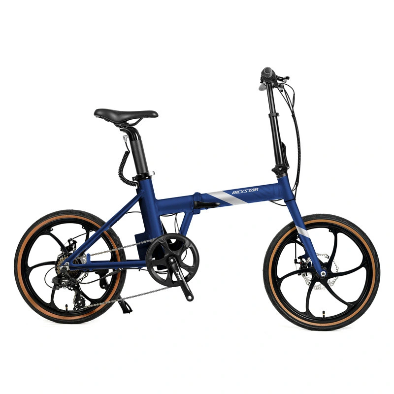 Folding Electric Bicycle 500W Folding Electric Bicycle Bike Lightweight Folding