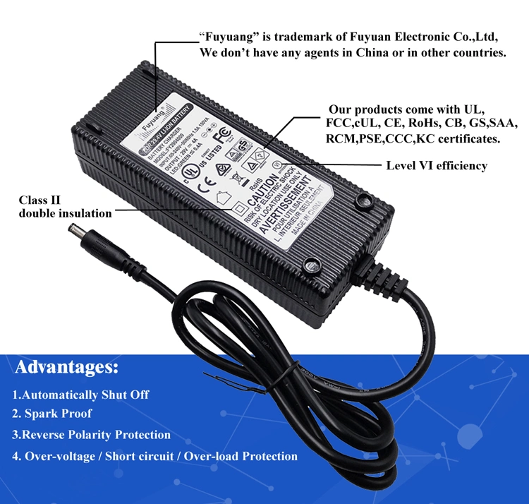 Fuyuang 3 Warranty International Plugs 58.4V with Electric Scooter Bike 2A LiFePO4 Battery Charger