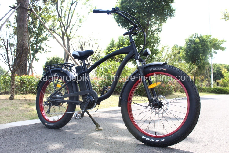 Cheapest 2 Seat 48 Volt Battery Speedy Electric Bicycle