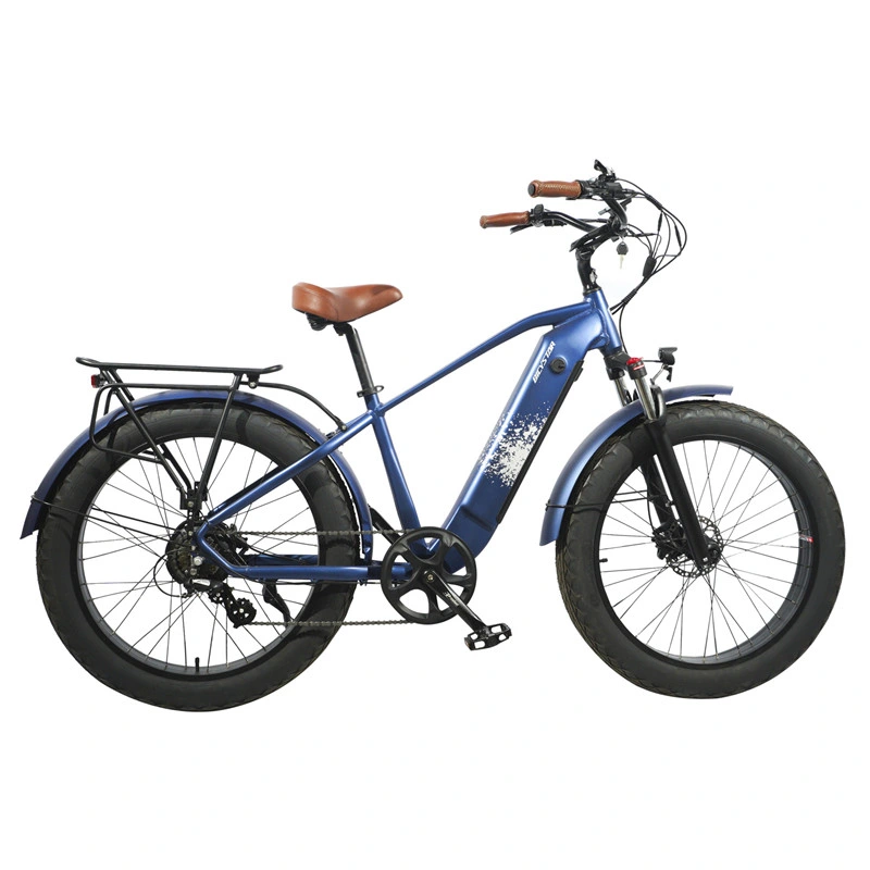 Electric Mountain Sports Bike Bicycles Fat Tire Cheap Bikes for Sale