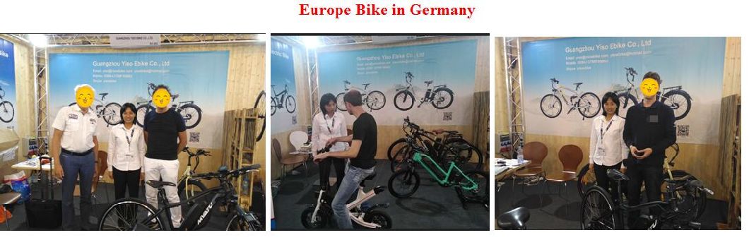 Lithium Battery Adult Electric Bicycle with Steel Frame
