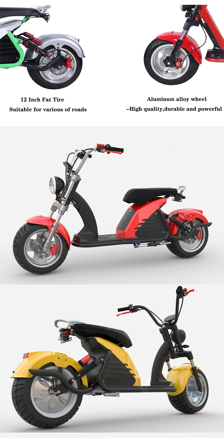 3000W 30ah Top Speed 75km/H Electric Bike Electric Motorcycle Scooter Adult