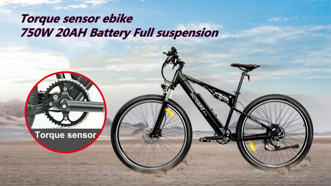Cheapest 750W E Bicycle Brusshless Motor Mountain Electric Bike 26 Inch E-Bike