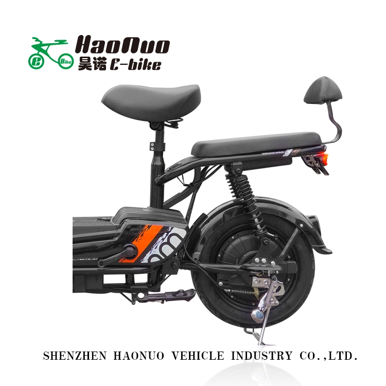 2022 Hot Sell New Model 14 Inch 48V 350watt Electric Bike