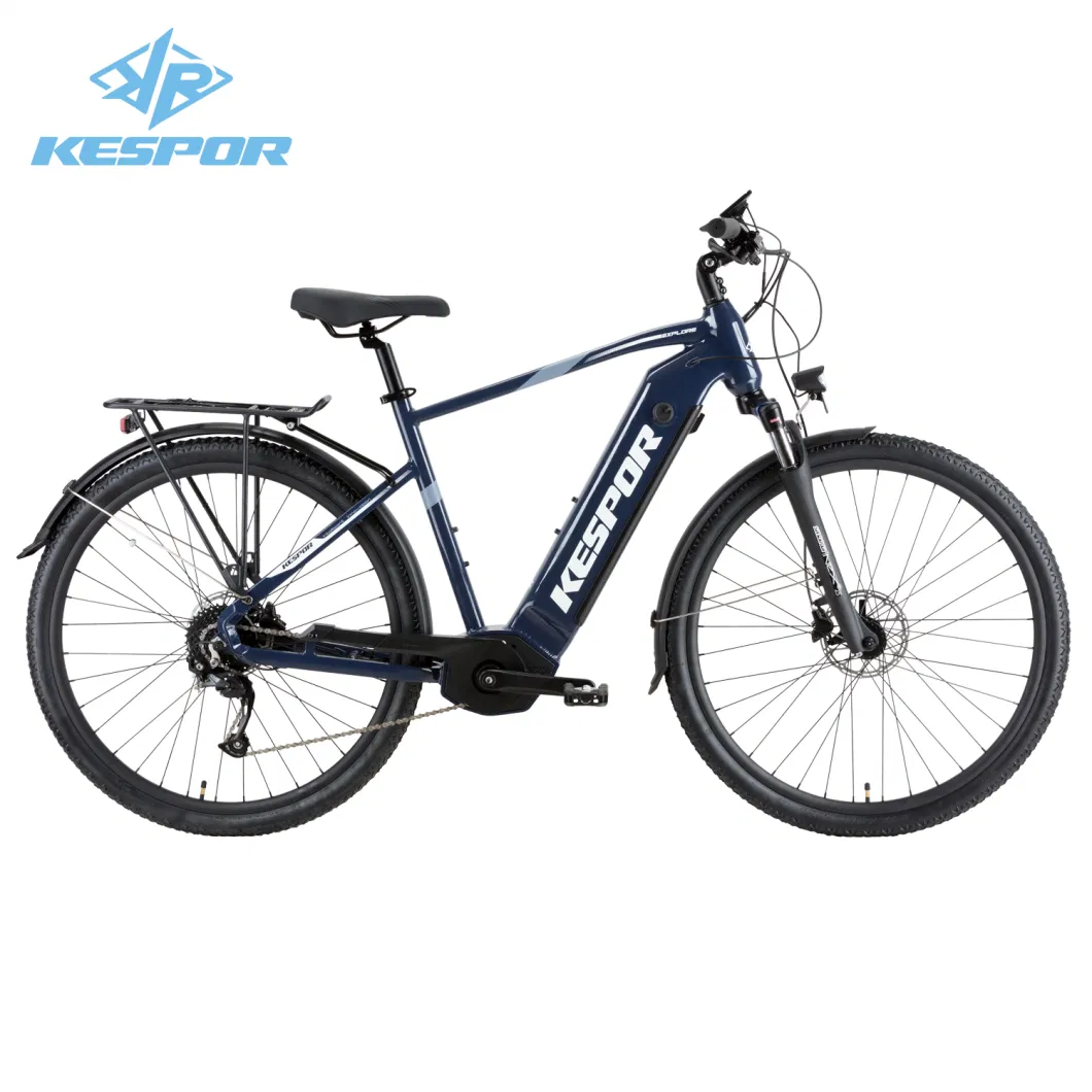 OEM Wholesale 29er Mountain Electric Bike Bicycle with 36V 250W Motor