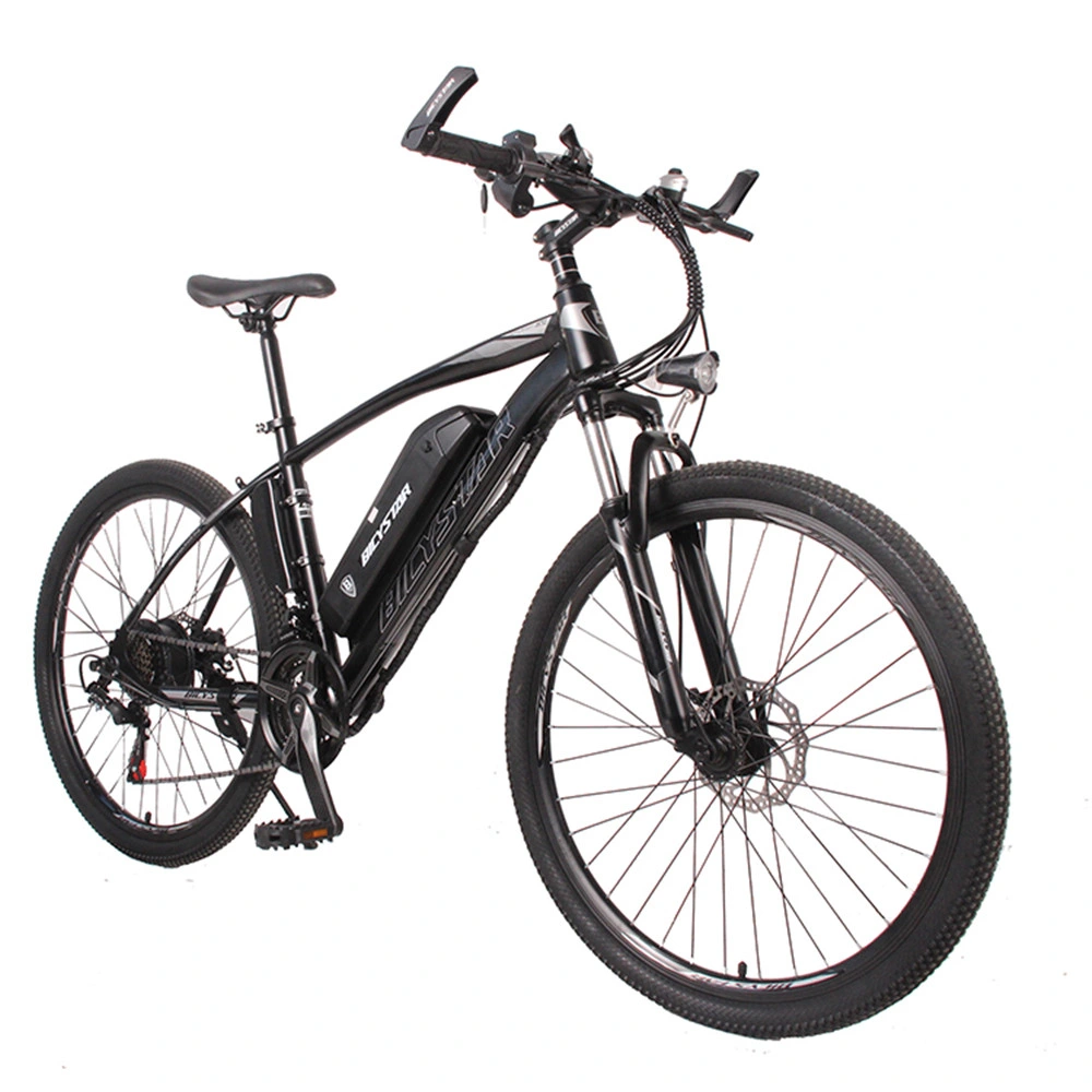 with Front and Rear Lights Electric Fat Bike Electric Mountain Bike Foldable E Bike Ebike