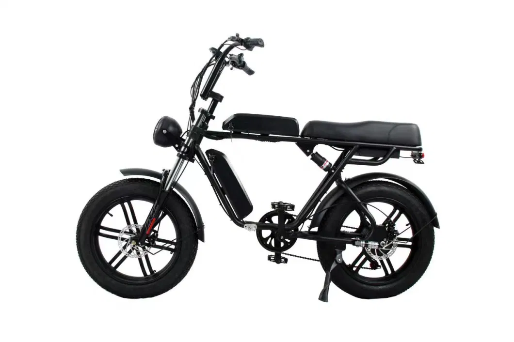 Popular High-End Commuter Electric Bikes Pedal Assist 48V 10.4ah Lithium Battery Mobility Ebike