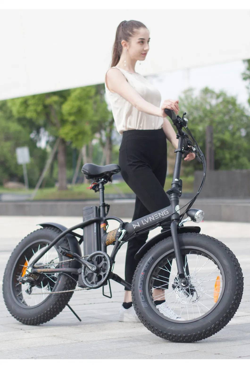 High Quality Electric City Bicycle with 250W Motor
