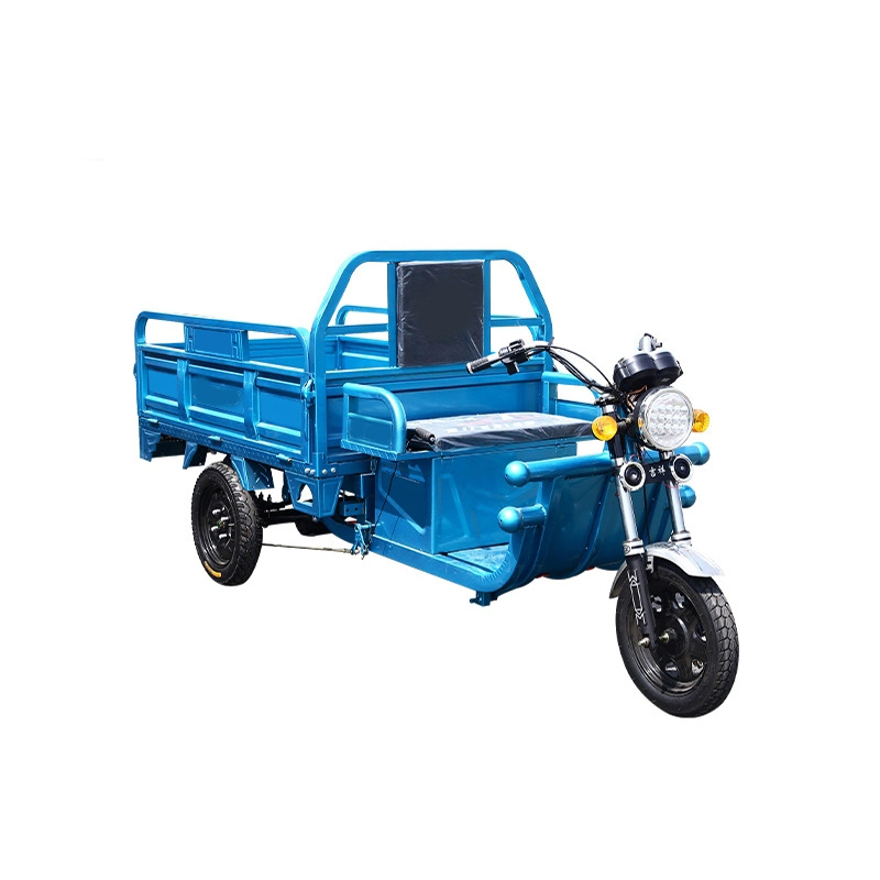 Cargo Tricycle Manufacturer Customization Electric Bike with Cabin for Cargo with Big Cargo Box