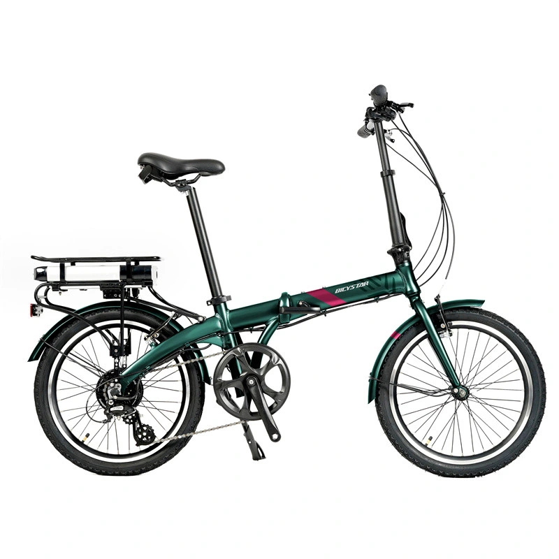 Folding Electric Bicycle 500W Folding Electric Bicycle Bike Lightweight Folding