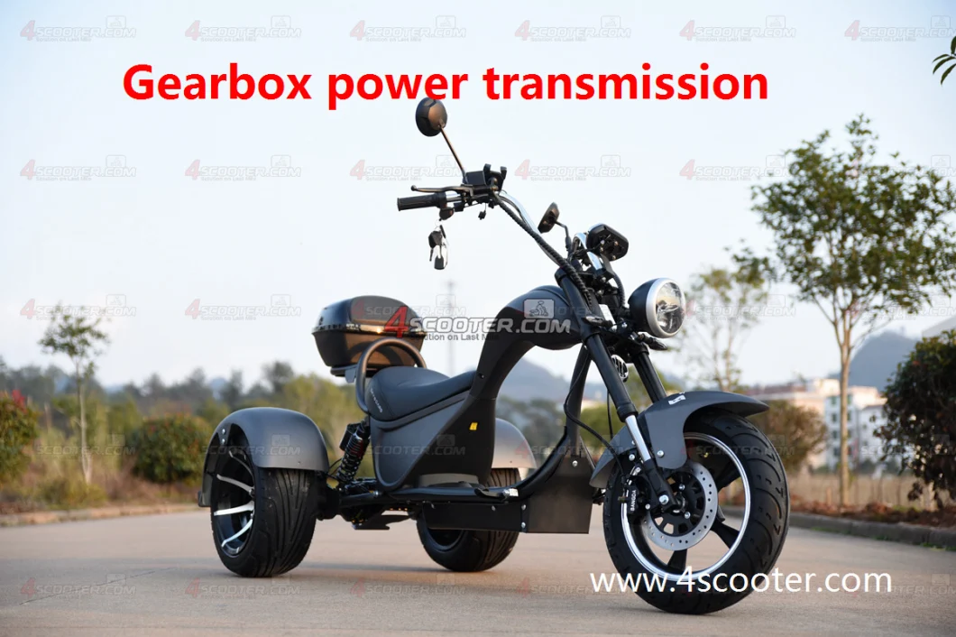 EEC 4000W 5000W Dual Match Citycoco Chopper Trike Scooter Three Wheel Electric Motorcycle