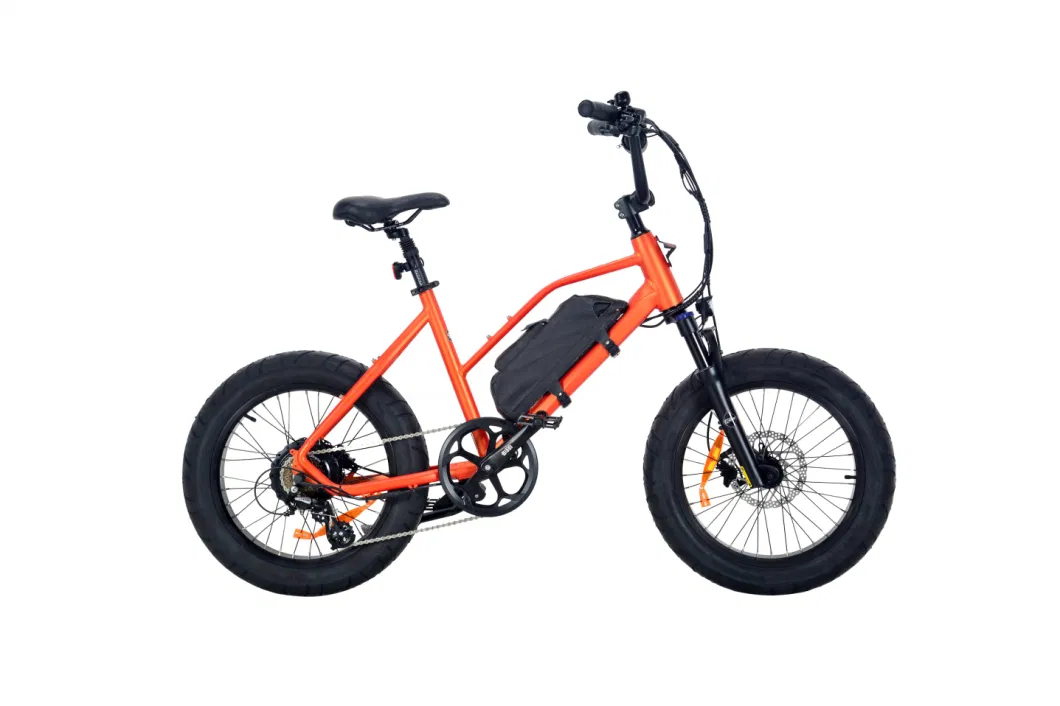 Fast Adult Electric Bike Fat Tire Ebike 500W Retro Super EU Standard Electric Bicycle