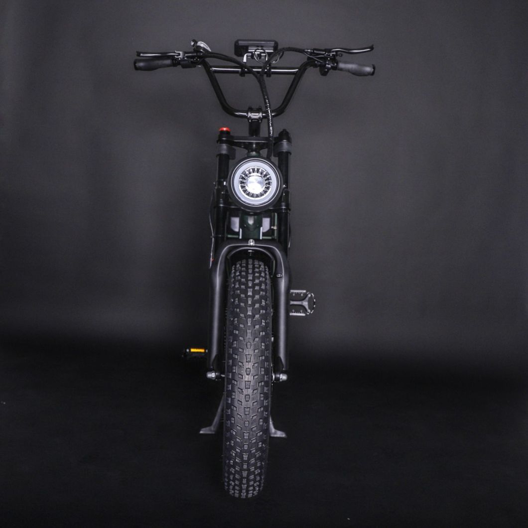 Luxury 2 Wheel Electric Bike Electric Moped with Pedals Motorcycle Electric Bike