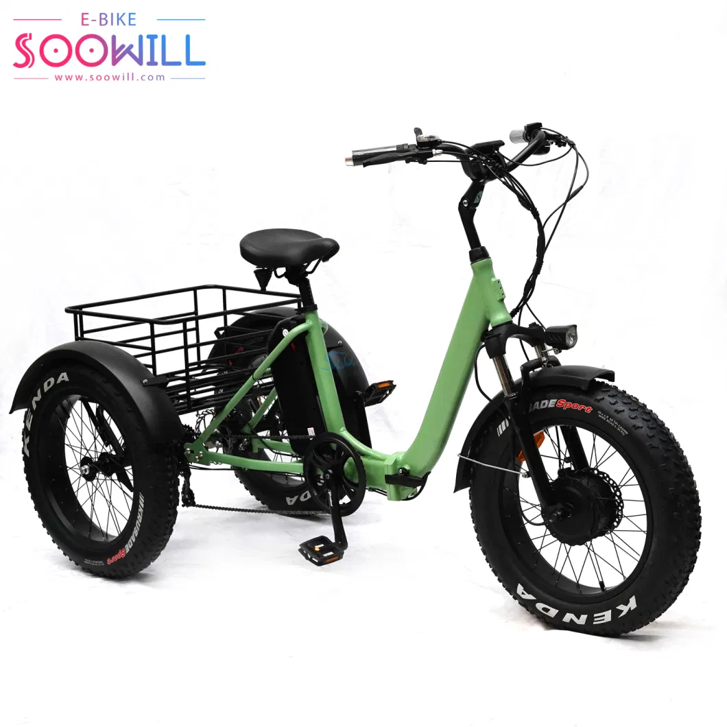 Microprocessor Other Tyre Fat Tire Adults 20 Inch Electric Tricycle with Seat