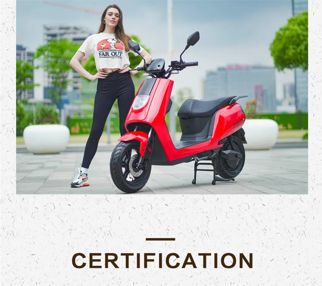 2000V Powerful Adult Electric Scooter Electric Bike with CKD EEC Certificate Removable Battery