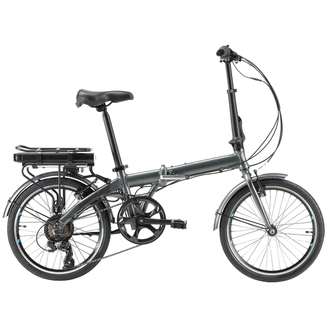 China Supplier Electric Folding Bike Mountain Lithium Battery Electric Bicycle Ebike