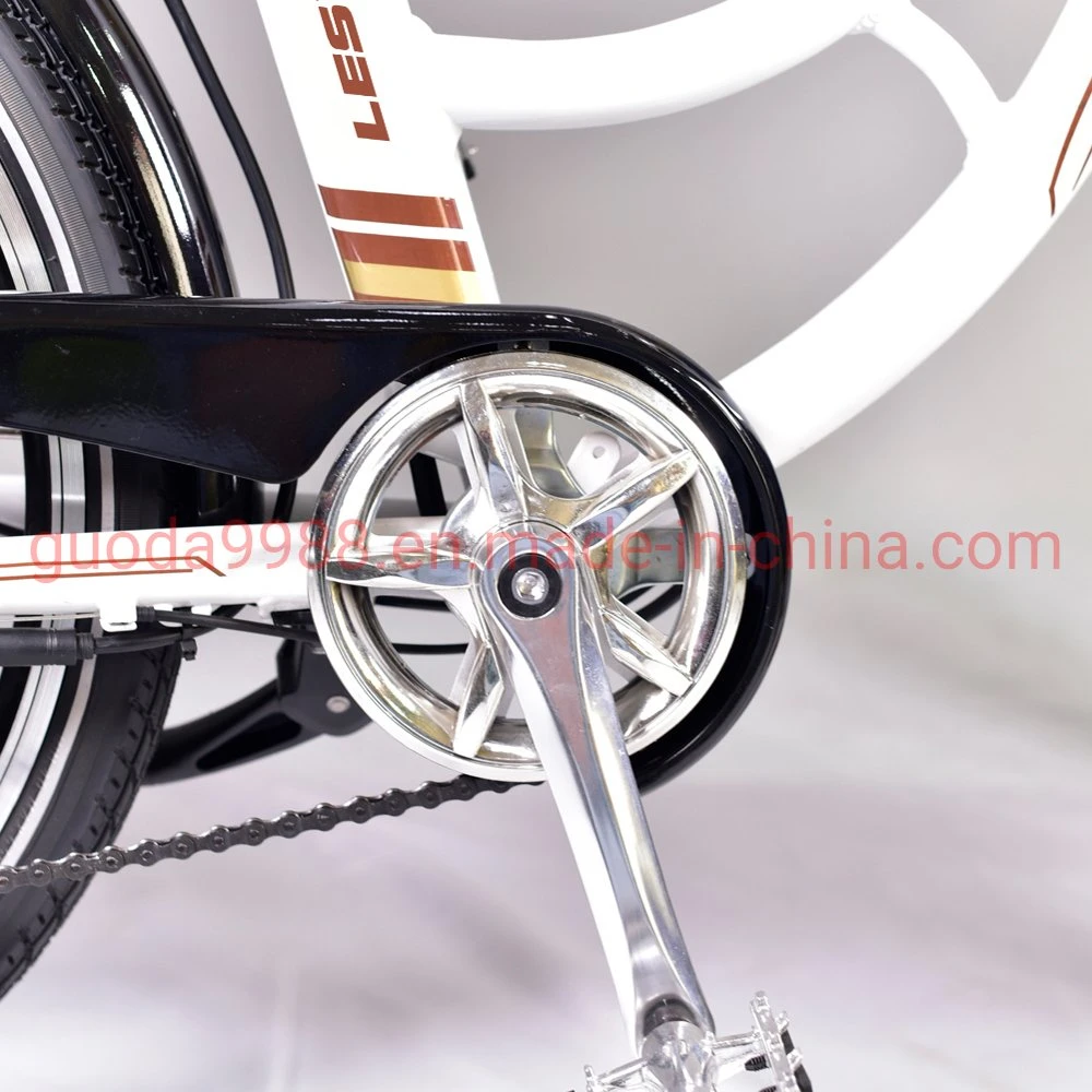 Factory Direct New Model Bicycle 26&prime;&prime; 36V Electric City Bike