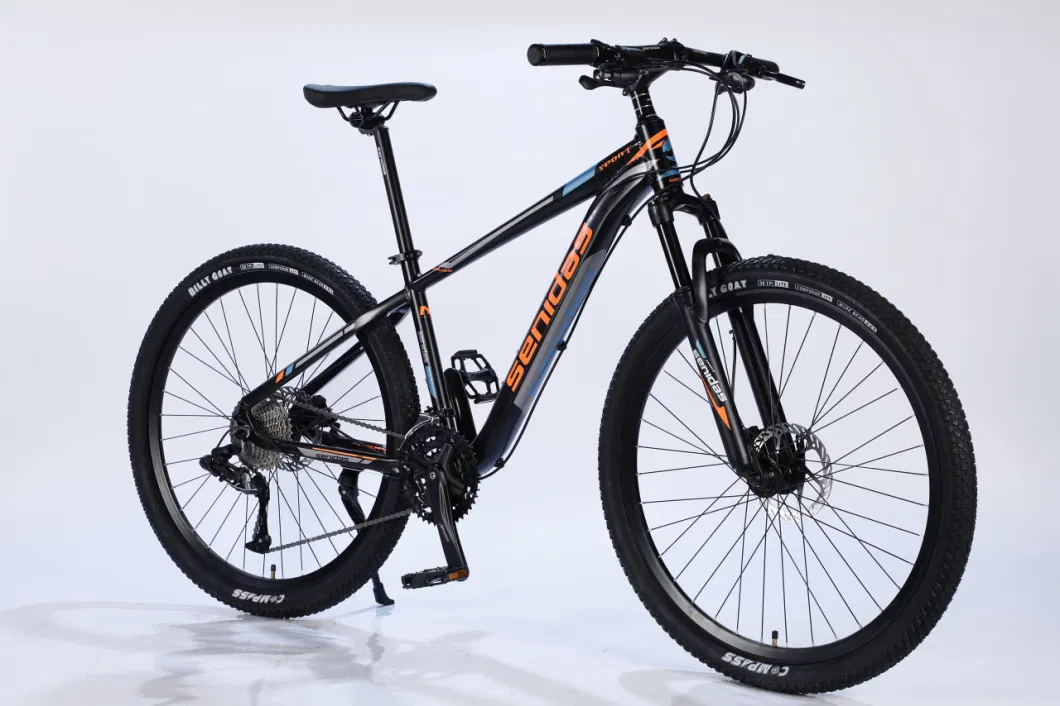 Aluminum Alloy Mountain Fat E Bike 500W 48V Snow Electric Bicycles/Electric Bike MTB BMX