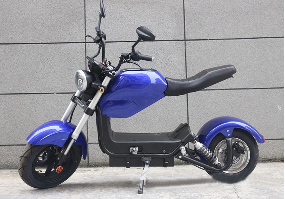 EEC Two-Wheel Electric Vehicle Adult Electric Motorcycle Two-Wheel Bicycles