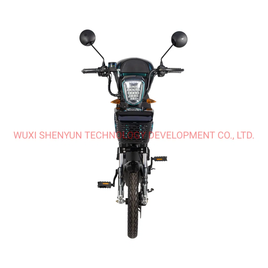 Wuxi Shenyun 500W 48V Electric Bike for Adults Electric Motorcycle Electric Scooter in Europe