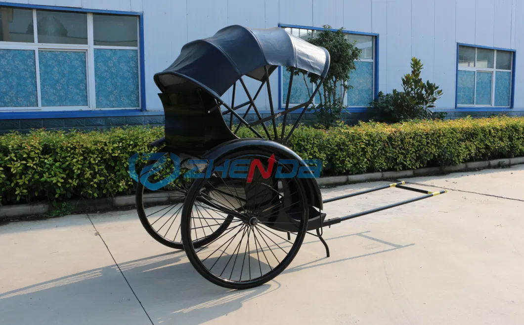 China Passenger Rickshaw/OEM New Model Taxi Pedicab Bicycle Tricycle Rickshaw Pedicab for Sale/Electric Cargo Bike