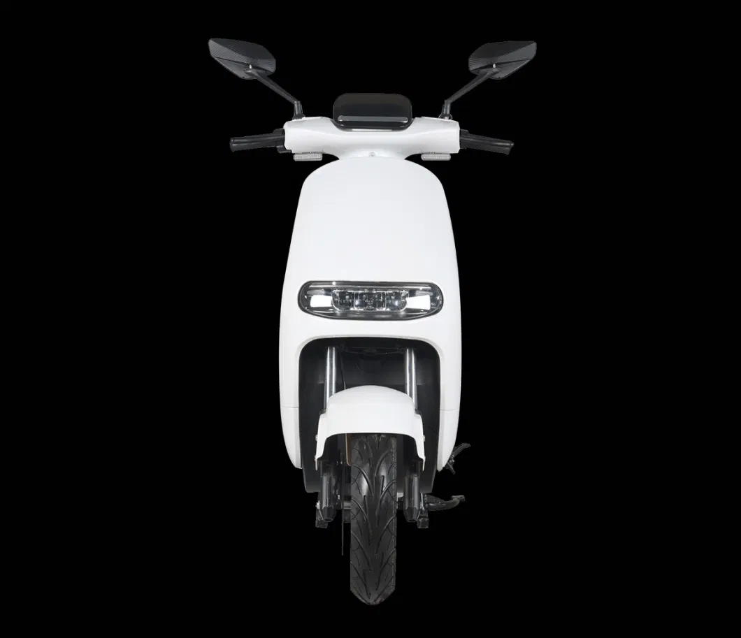 Factory OEM Adult Electric Motorcycle Electric Motorbike Electric Moped