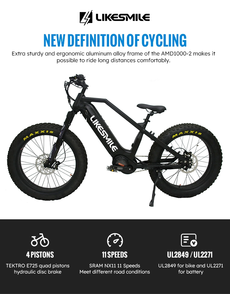 All-Weather Electric Mountain Bikes for Year-Round Riding 11 Speed Freewheel Ebike Electric Bike