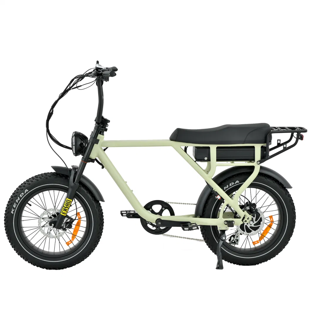 China Factory Sales 750W 1000W Rear Drive Fast Electric Mountain Bike Surron Retro Fat Ebike