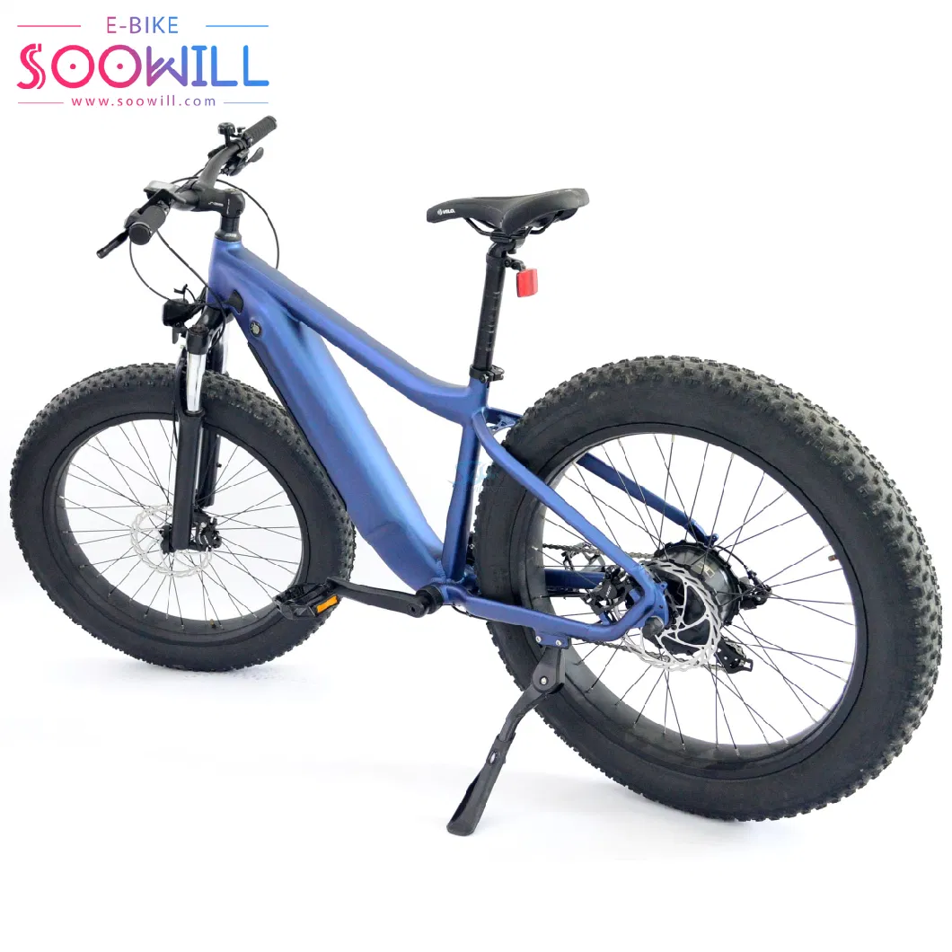 Inverter Drive Brand New Packaging Rear Carrier 500W Motorcycles Electric Mountain Bike