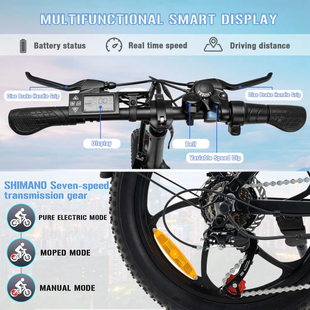 21 Speed 1000W Fast Fat Snow Electric Bike Aluminum Alloy 26 Inch Bicycle Electric Bike