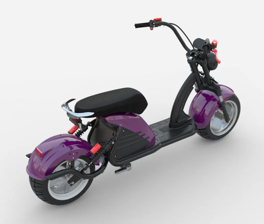 2000W/3000W 10inch/12inch Electric Citycoco Adult New Electric Scooter Motorcycle EEC