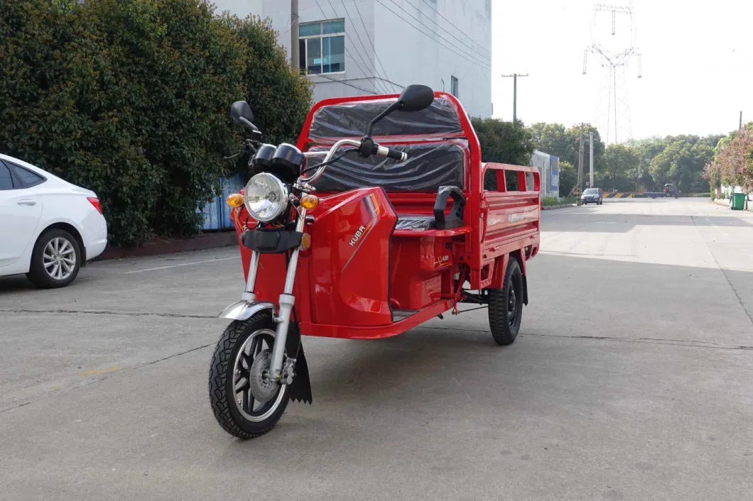 Hot Sale 40km/H Max Speed EEC Three Wheel Cargo Electric Tricycle Trike/Electric Motorcycle