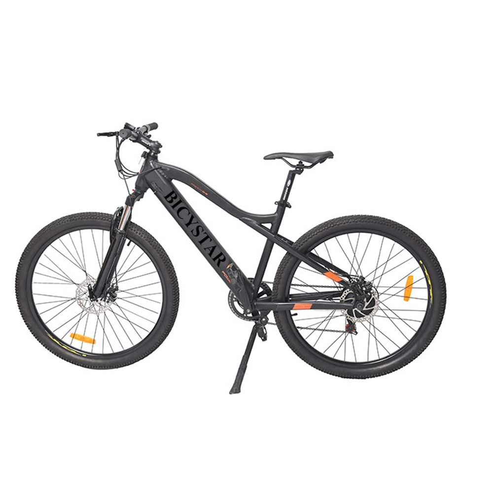 Electric Bike 350W 48V/Electric Bike 48V 750W/Electric Bike 48V 20ah