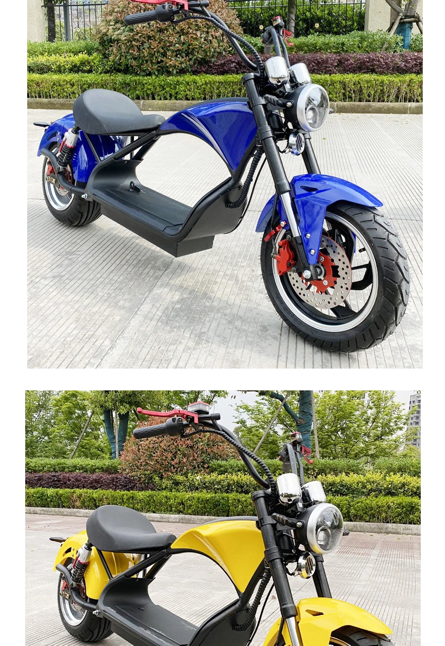 New Trend 1500W Powerful Fat Tire 2 Wheels Fast Electric Ebike Adult Electric Motorcycle Scooter 2000W Electric Citycoco