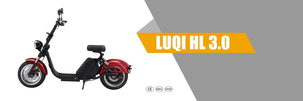 China Luqi Manufactory Three Wheel EEC Approved Electric Motorcycle
