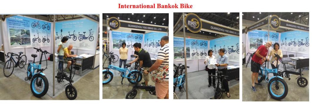 Fast Delivery Wholesale Chinese 48V Electric Bike Bicycle with OEM Service