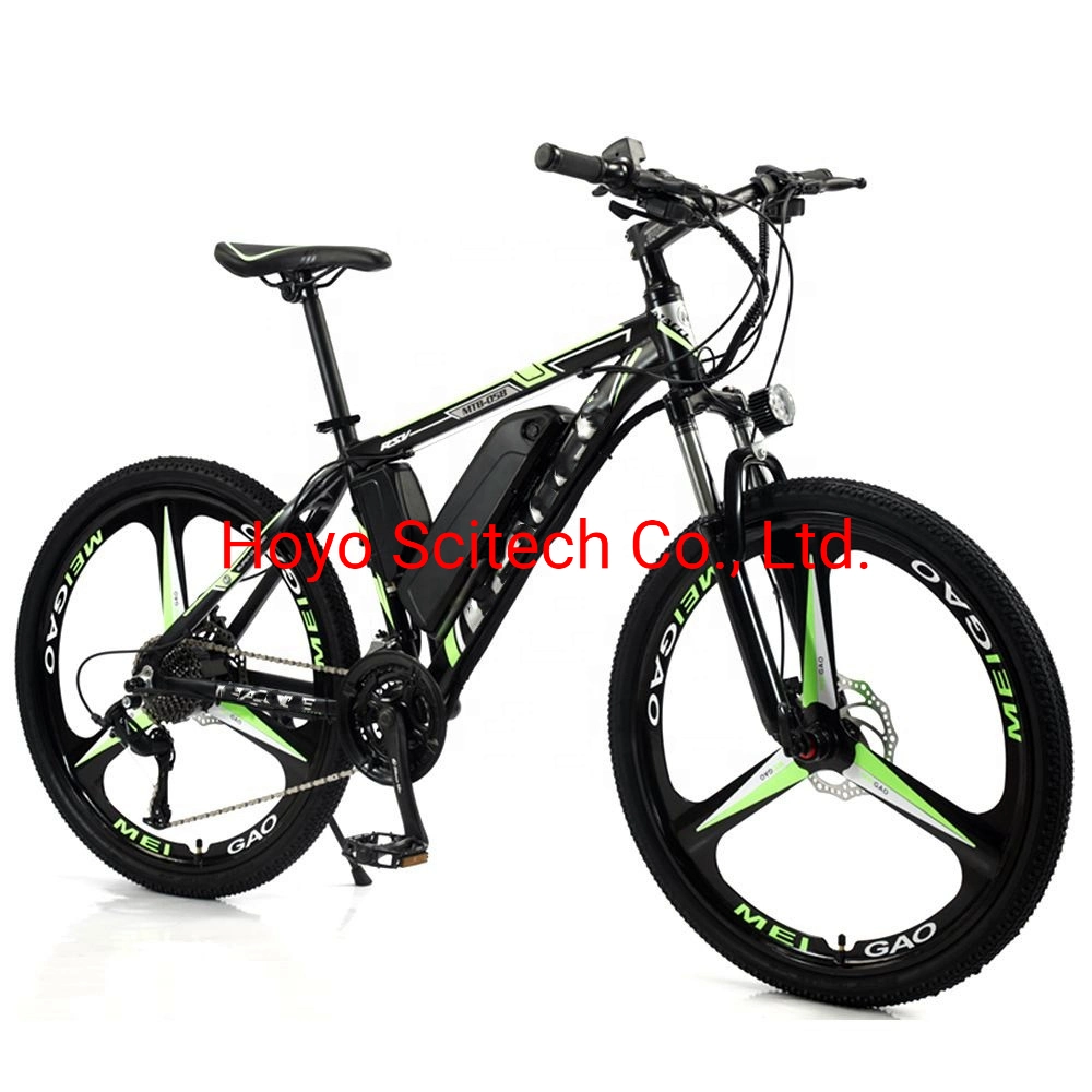 E-Bicycle E-Bike Electric Bike Electric Bicycle From China