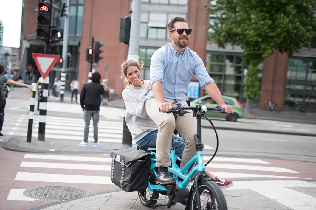 Electric Trike Cargo Electric Cargo Bike /Used Bicycles for Sale in Dutch