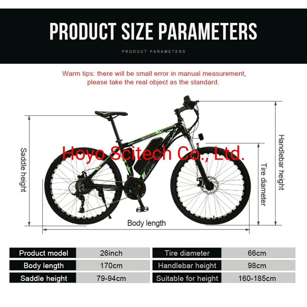 Cheap Electric Bikes Lithium Battery Electric Bicycle Share Electric Bicycle