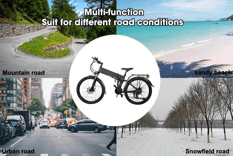 Hot Sale Aluminum Alloy Brushless Ebike Mini Folding Electric Adult Dirt E Bike