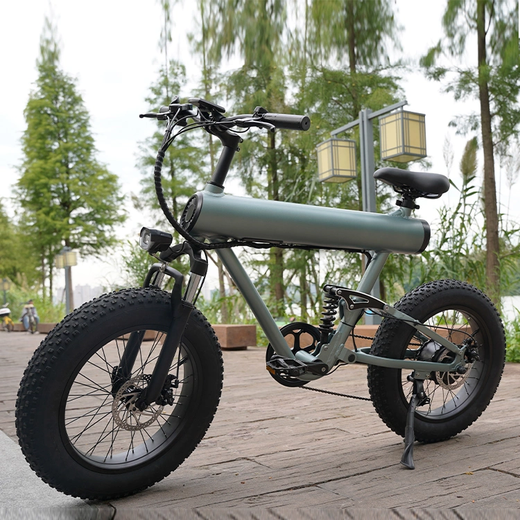 Powerful Motor Lithium Battery Electric Bicycle with 48V 500W 10ah