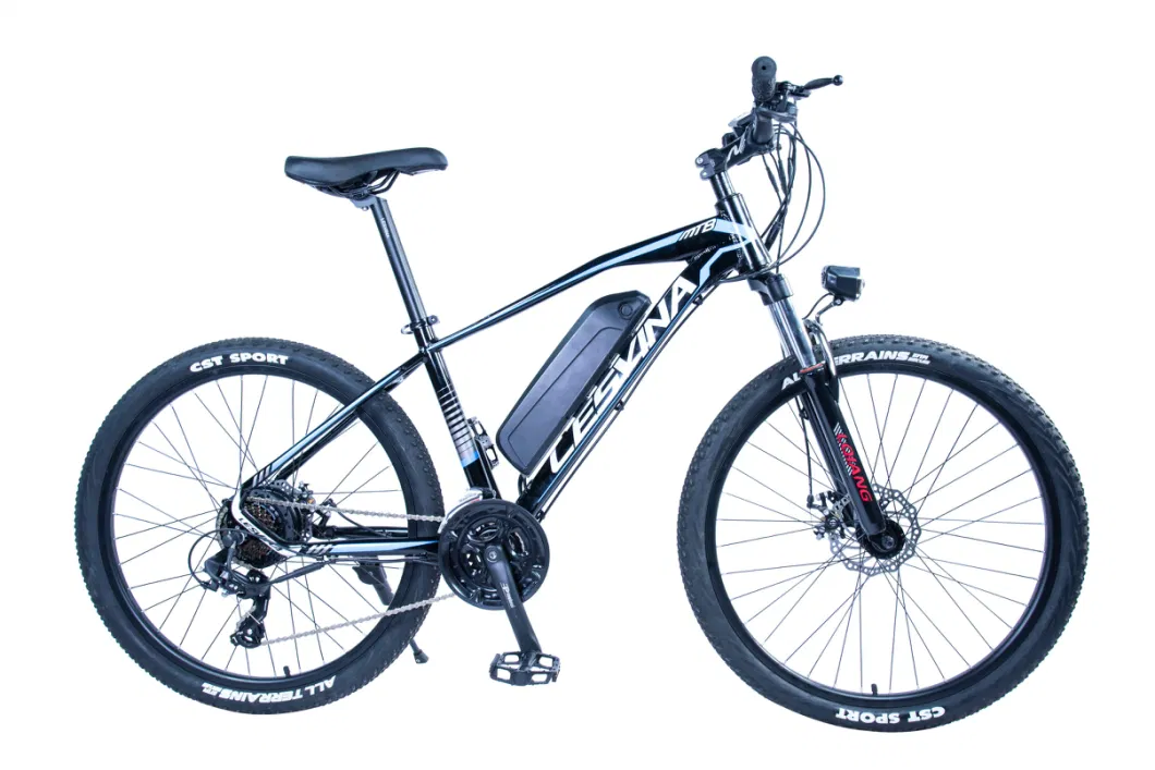 36V 300W Lithium Battery Electric Bicycle Mountain Ebike