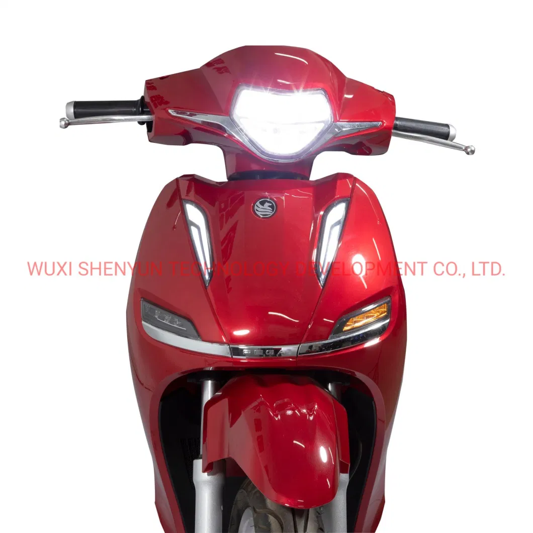 Wuxi Shenyun Manufacturer Electric Motorcycle 3000W 2 Wheel Electric Mobility Scooter Best Sale EEC E Bike