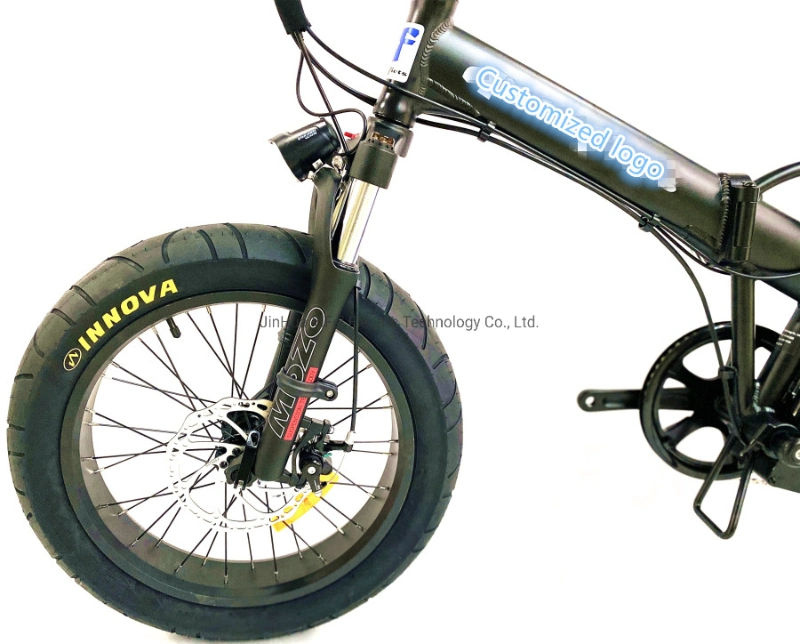 Bafang Powerfull OEM Motor Electric Smart Bike Charging Lithium Battery Electric Bicycle