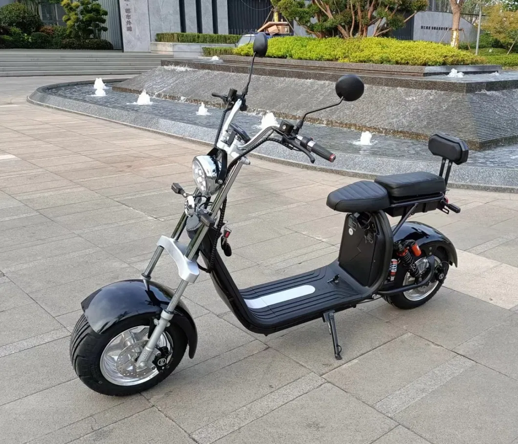 1500W 60V 2 Wheel Electric Bike Scooter with Pedals Motorcycle Electric Scooter Citycoco