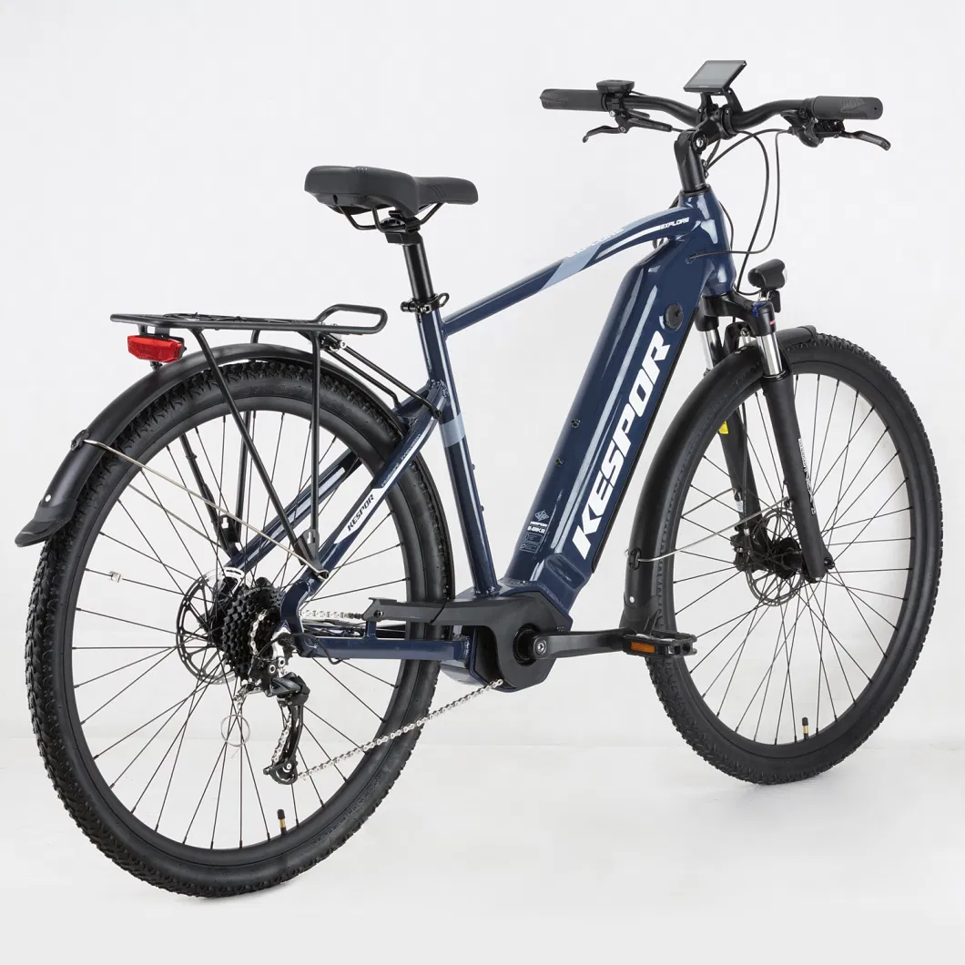 Good Quality Trendy Design 29er 250W E Bike Electric Bike Bicycle with Suspension Fork